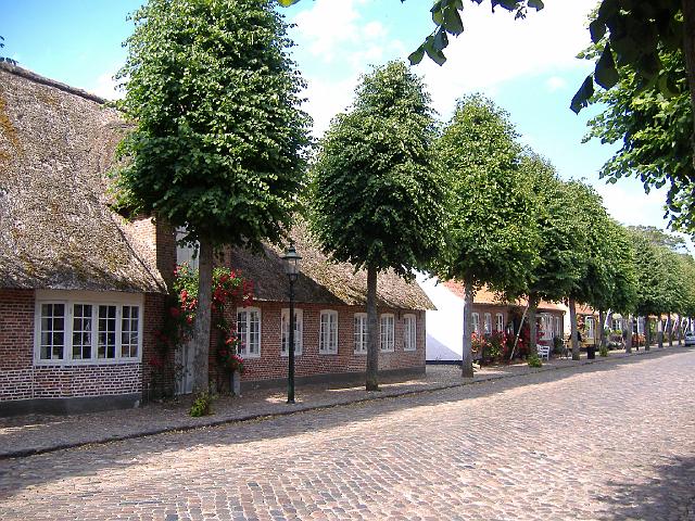 2008 - 029.jpg - Mogel-Tonder (DK)